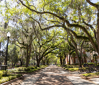 Plaza of the Americas walkway