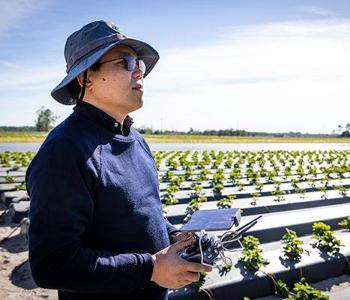 Researcher using a drone outside in agricultural fields