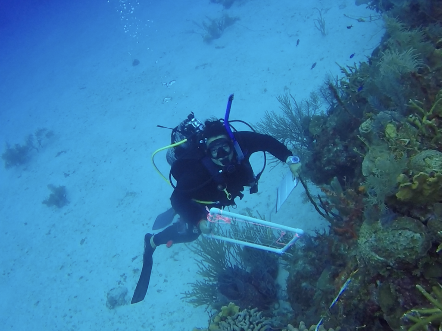 Dr. Anya Brown scuba diving