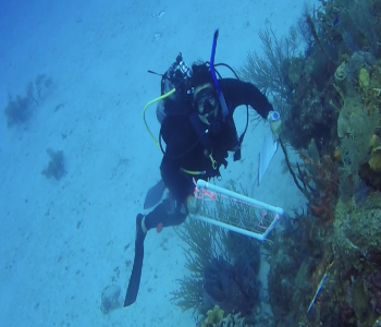 Dr. Anya Brown scuba diving